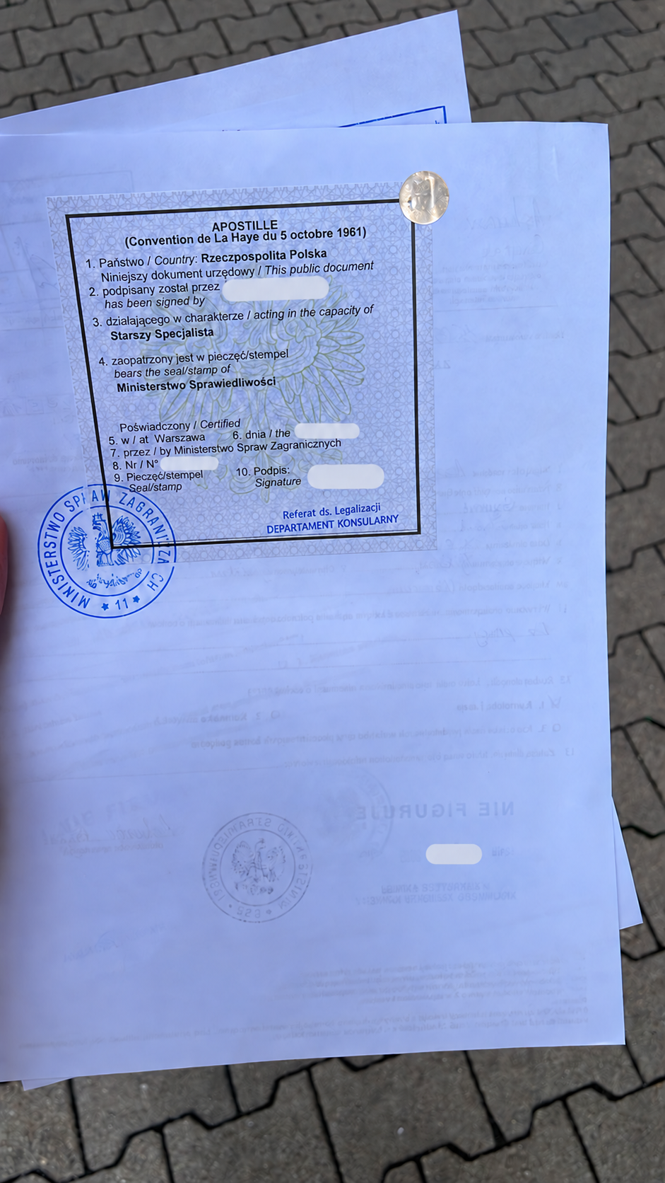 Пример оформленного апостиля клиента — фото 11